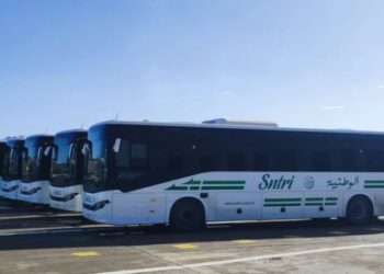 الشركة الوطنية للنقل بين المدن تعزز خطوطها بحافلات جديدة