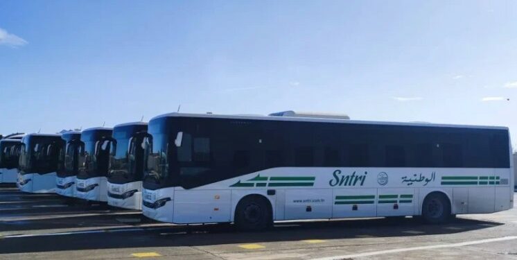 الشركة الوطنية للنقل بين المدن تعزز خطوطها بحافلات جديدة