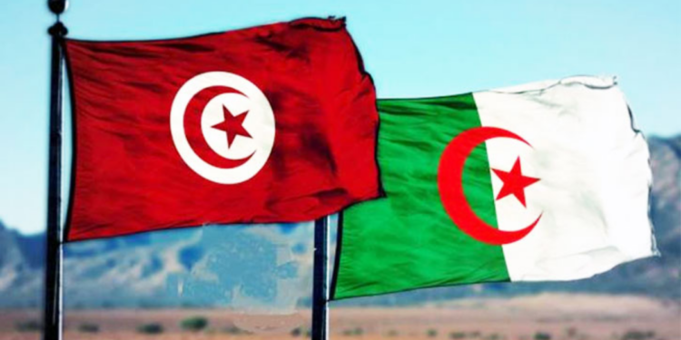 تونس والجزائر توقعان اتفاقية لدعم التنسيق في مجال مكافحة تبييض الأموال وتمويل الإرهاب وانتشار الاسلحة