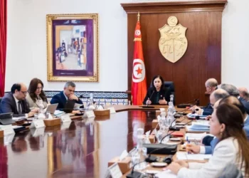 مجلس وزاري مُضيّق للارتقاء بخدمات النقل والإدارة والديوانة …