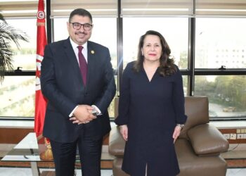 وزيرة الصناعة تستقبل المدير التنفيذي لمركز التميز الإفريقي للأسواق الشاملة (AIMEC)