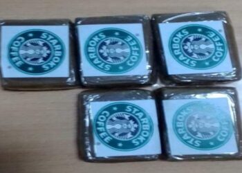 ضبط شحنة مخدرات تضم 88 صفيحة من “الزطلة”