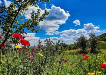 طقس اليوم وحالة البحر