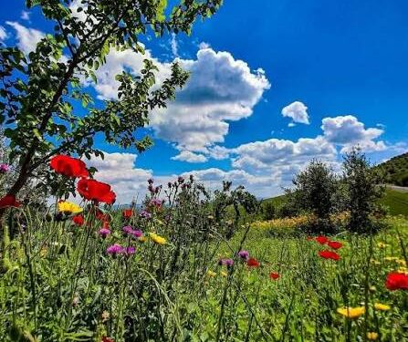 طقس اليوم وحالة البحر