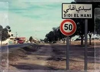 متابعة  لفاجعة وفاة ثلاثة أطفال أشقاء في سيدي الهاني..تفاصيل جديدة وسبب الوفاة/فيديو