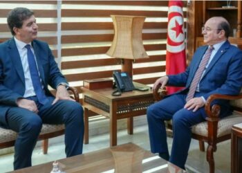 فحوى لقاء وزير السياحة بسفير مملكة إسبانيا بتونس