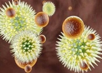 Ebola