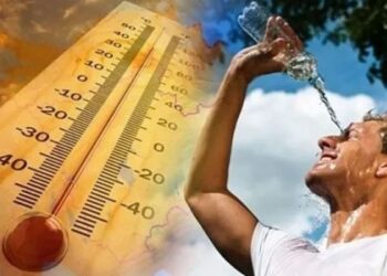Canicule