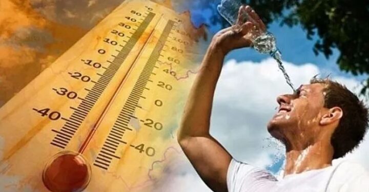 Canicule