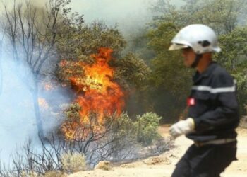 Incendies