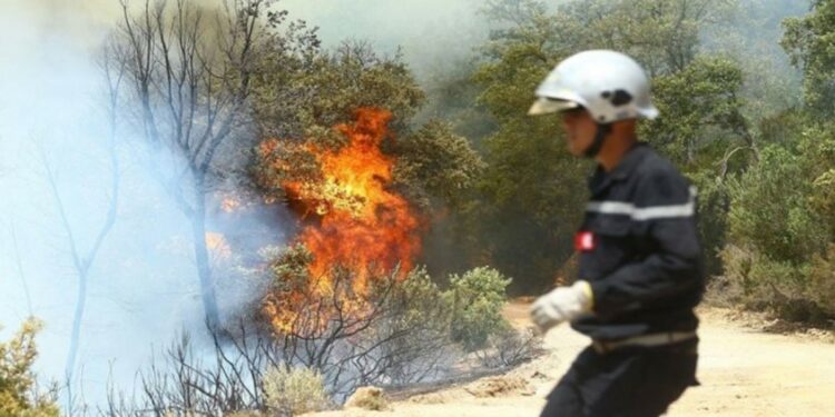 Incendies
