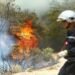 Incendies