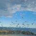 La pluie