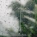 la pluie