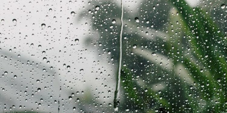 la pluie