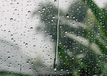 la pluie
