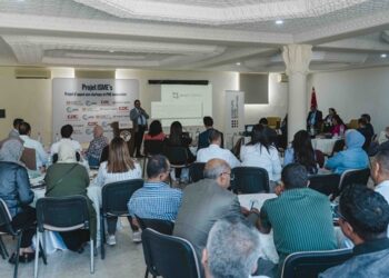 مشروع دعم المؤسسات