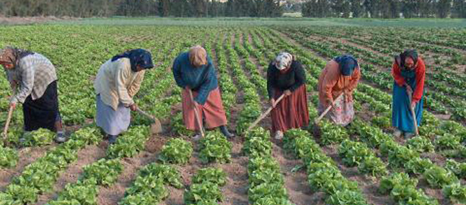 Travailleurs agricoles: Amnesty International réagit à l'accident de Jelma