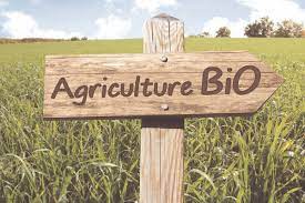 La Tunisie accueillera en 2024 le congrès mondial de l’agriculture biologique
