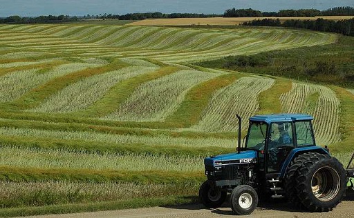 Bizerte : Des investissements agricoles de 8,456 MDT