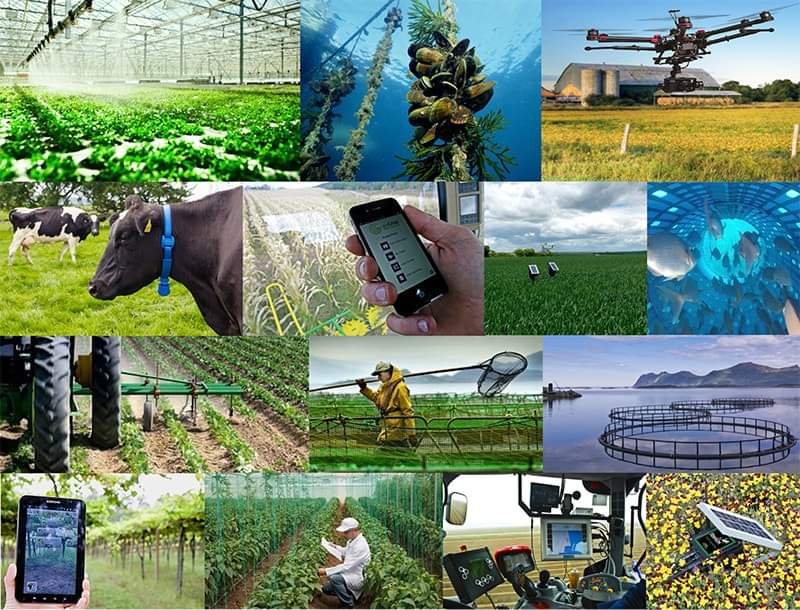 Pour une vision éco-intelligente de l'agriculture tunisienne