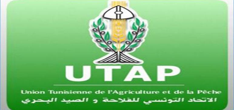 Le Bureau Exécutif élargi de l'UTAP en conclave, mardi prochain autour de "la crise de l'huile d'olive"