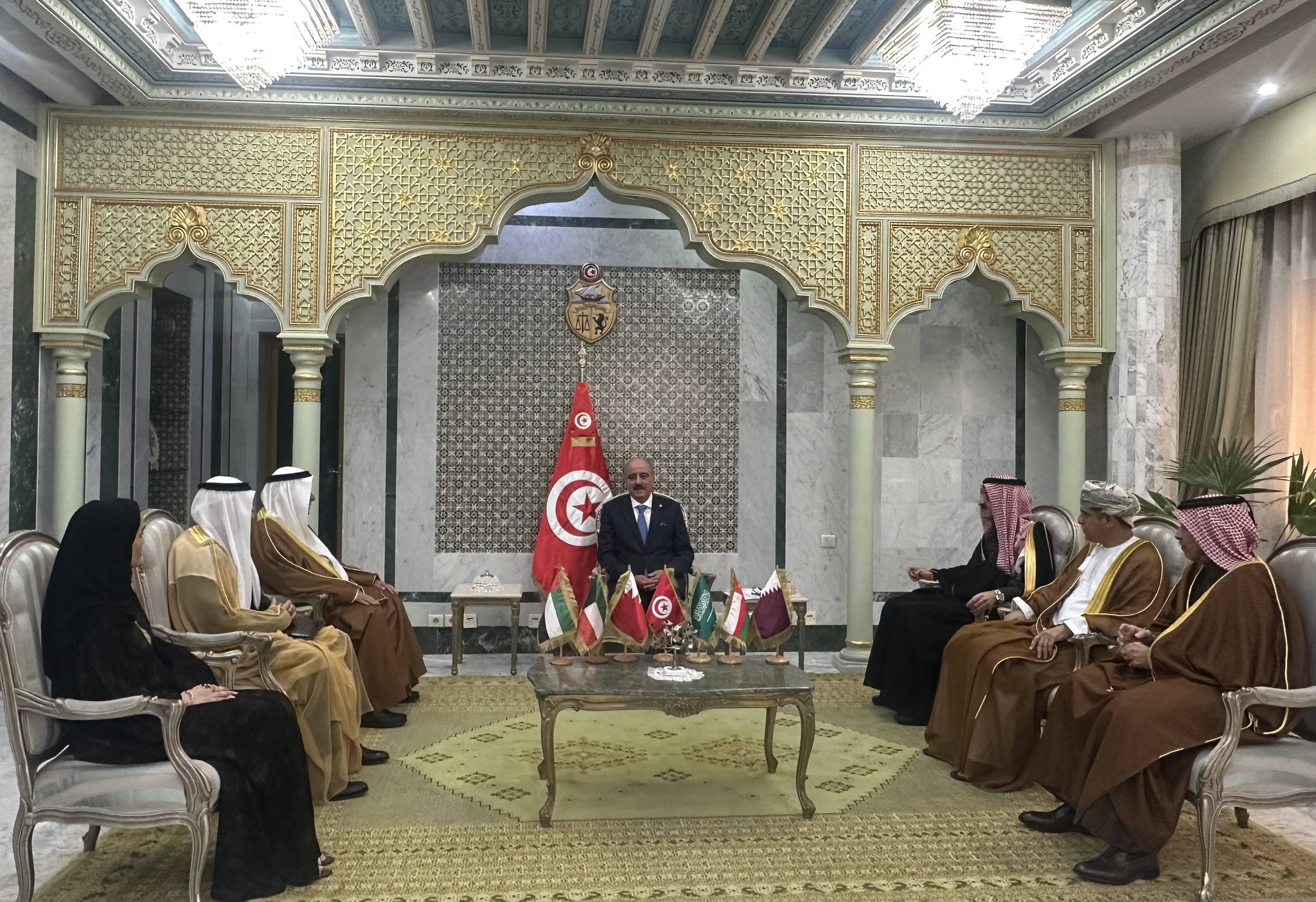  Mohamed Ali Nafti reçoit les ambassadeurs des pays du Conseil de Coopération des États Arabes du Golfe  