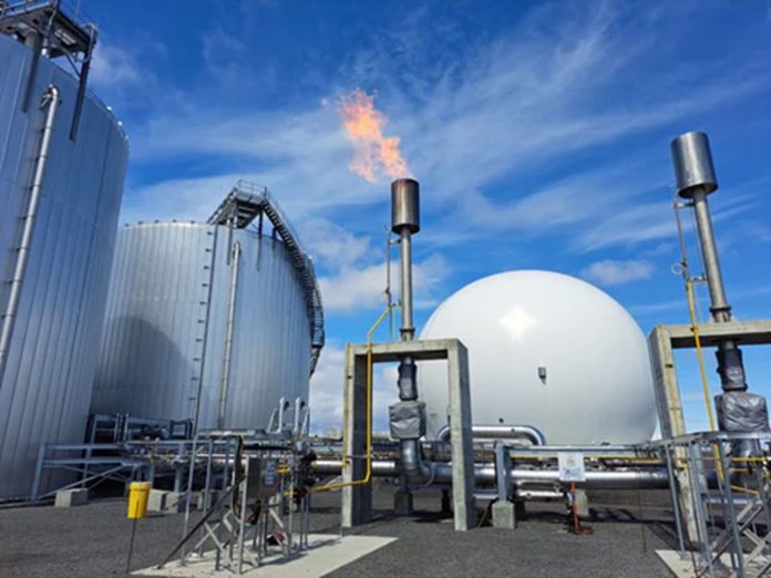 Djerba: Une usine de biométhane avec le soutien de l’Italie, du Japon et du PNUD