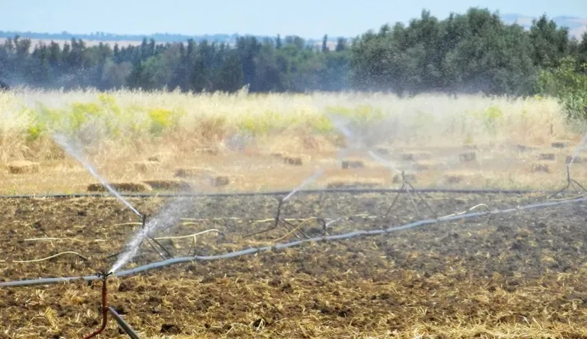 Bizerte: 10 hectares de cultures détruites pour irrigation illégale