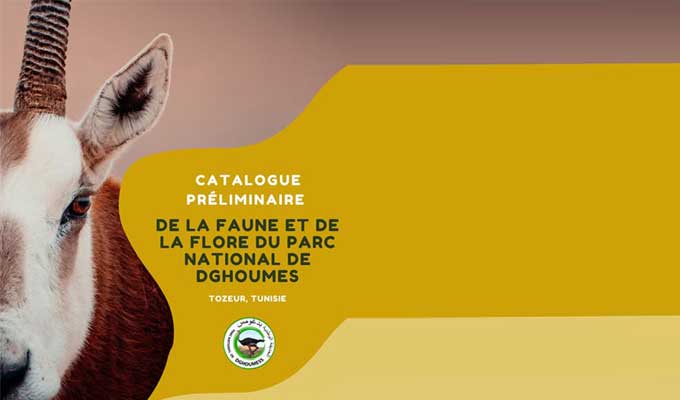 Biodiversité : catalogue préliminaire de la faune et de la flore du Parc national de Dghoumes