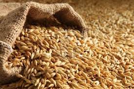 Un stock de céréales couvrant trois mois de consommation est disponible