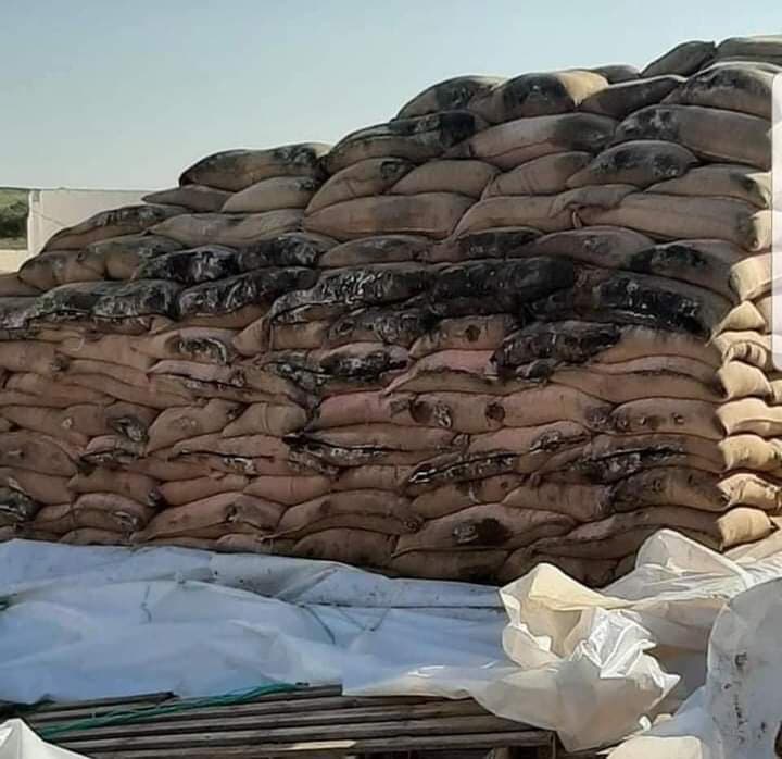17000 quintaux de céréales avariés abandonnés à l’air libre à Goubellat :dossier transmis à l’INLUCC