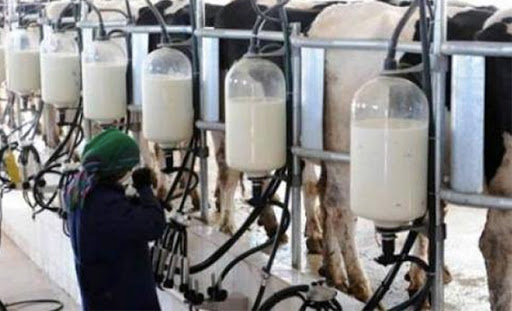 Arrêt total de la collecte du lait du 12 au 14 mai 2021