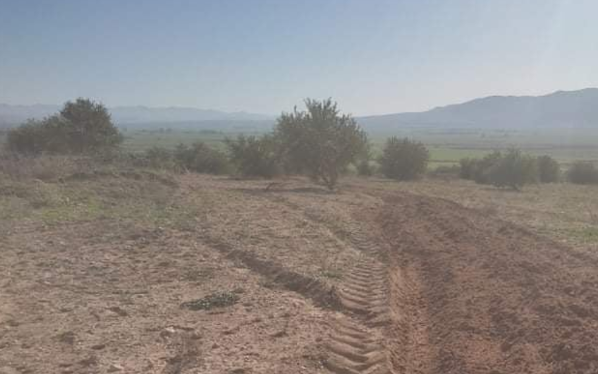 Récupération d’un terrain domanial agricole de 23 hectares à Sidi Bourouis.
