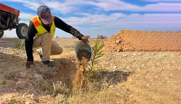 Djerba : 300 arbres plantés à proximité de la décharge de Telbet