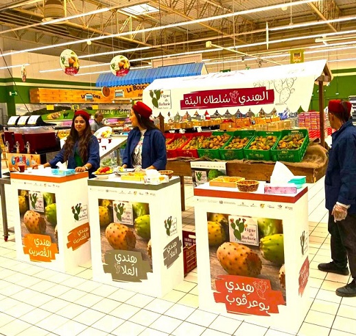 D’un fruit marginalisé à une filière stratégique : l’ascension agro-industrielle du cactus tunisien