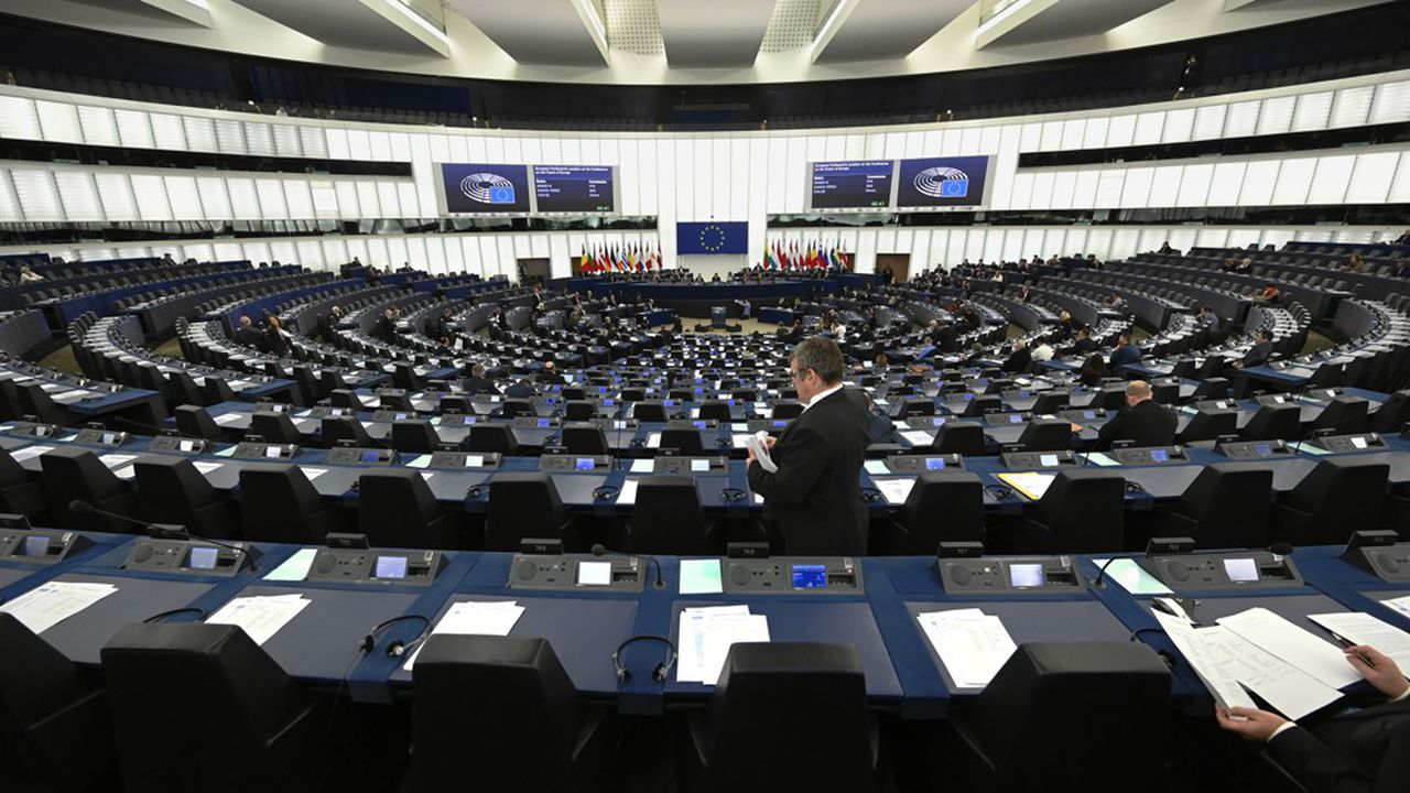 Le Parlement européen va appeler Kais Saied à un dialogue inclusif en vue de surmonter la crise politique
