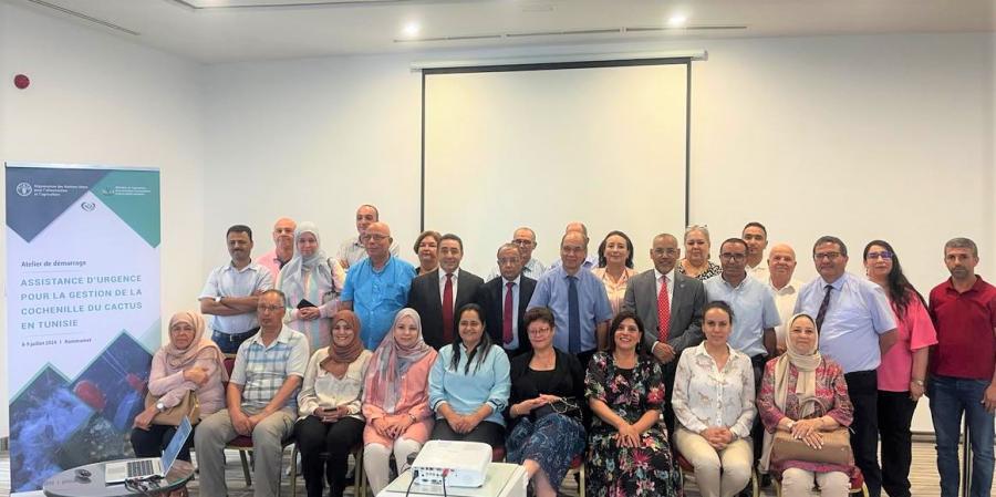 Lancement du projet d’assistance d’urgence pour la gestion de la cochenille de cactus en Tunisie