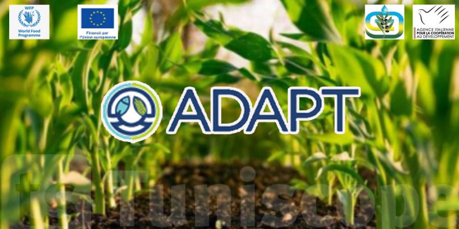 "ADAPT Investissements" : pour un financement durable des chaînes de valeur agricoles, de pêche et d’aquaculture.