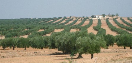 Meurtre d'un agriculteur suite à un différend familial