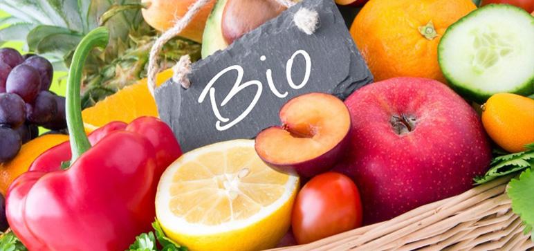Naissance du syndicat tunisien de l’agriculture biologique