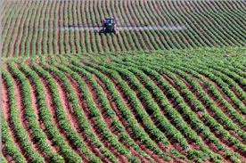 Tunisie-BAD: 450 millions de dollars pour financer des projets agricoles