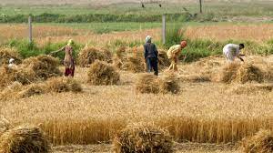 La Tunisie commémore le 58e anniversaire de l'évacuation agricole