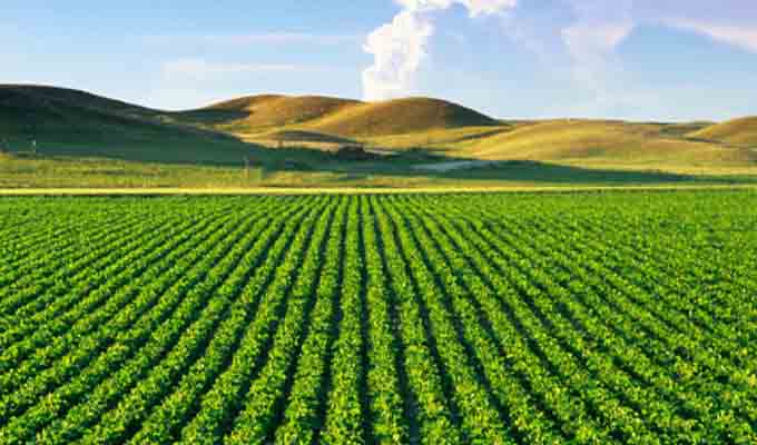 L’agriculture est l’avenir de la Tunisie et la solution adéquate pour résoudre les problèmes du pays