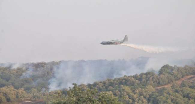Incendie Malloula : Des unités de l’Armée nationale mobilisées pour maitriser les flammes