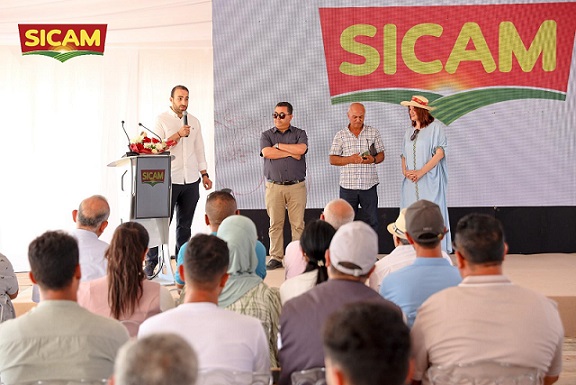 Avec son programme ZRP, SICAM révolutionne de l’agriculture de la tomate en Tunisie