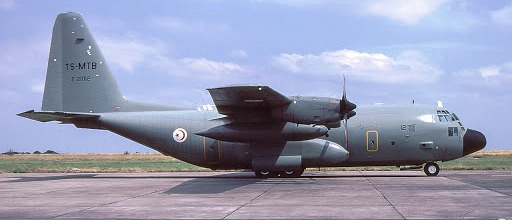 Deux avions militaires transportant une équipe médicale et des aides humanitaires dépêchés à Gaza