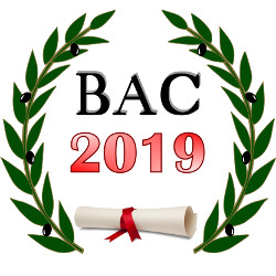 Bac 2019 : Le ministère de l’éducation publie sur ses sites web des cours de révision
