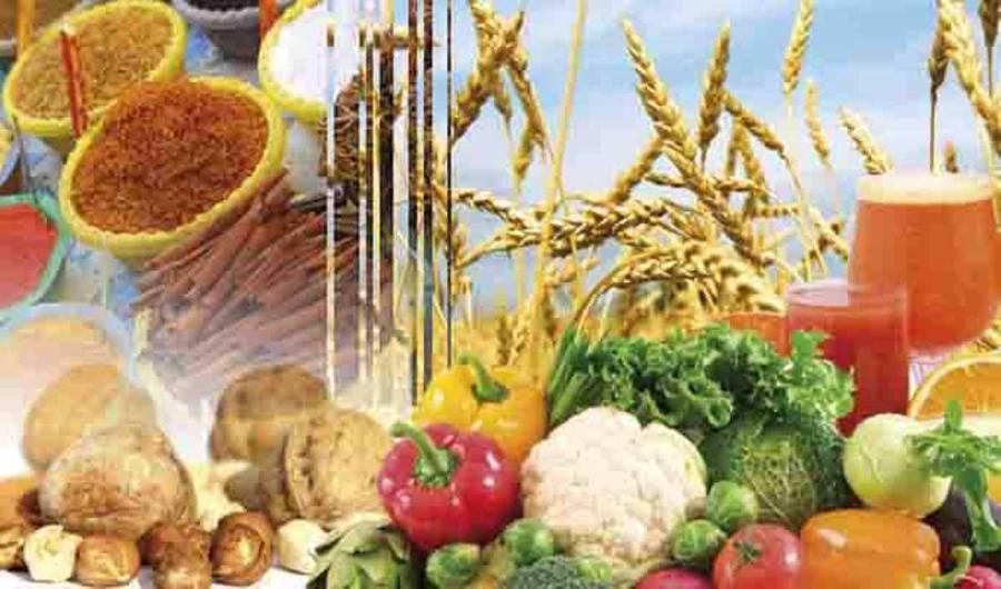 Le déficit de la balance commerciale alimentaire se creuse en août 2019