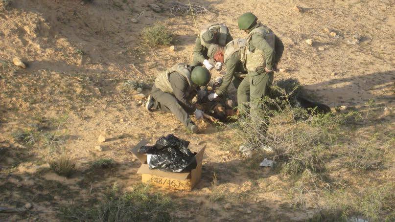 Matmata: 3 terroristes tués, un autre capturé et des armes saisies